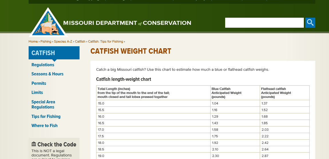 catfishing. no really…